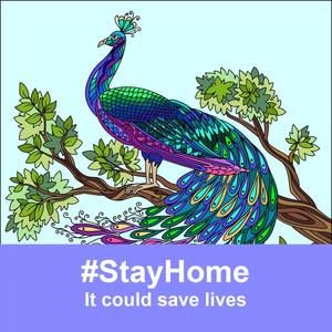 Meet your Posher, Muminah